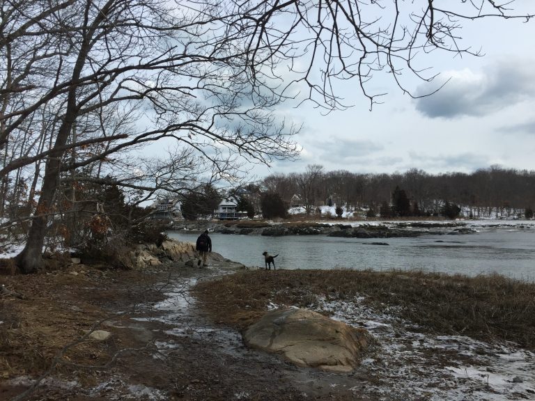 Best Dog Friendly Hikes and Trails in Boston 1