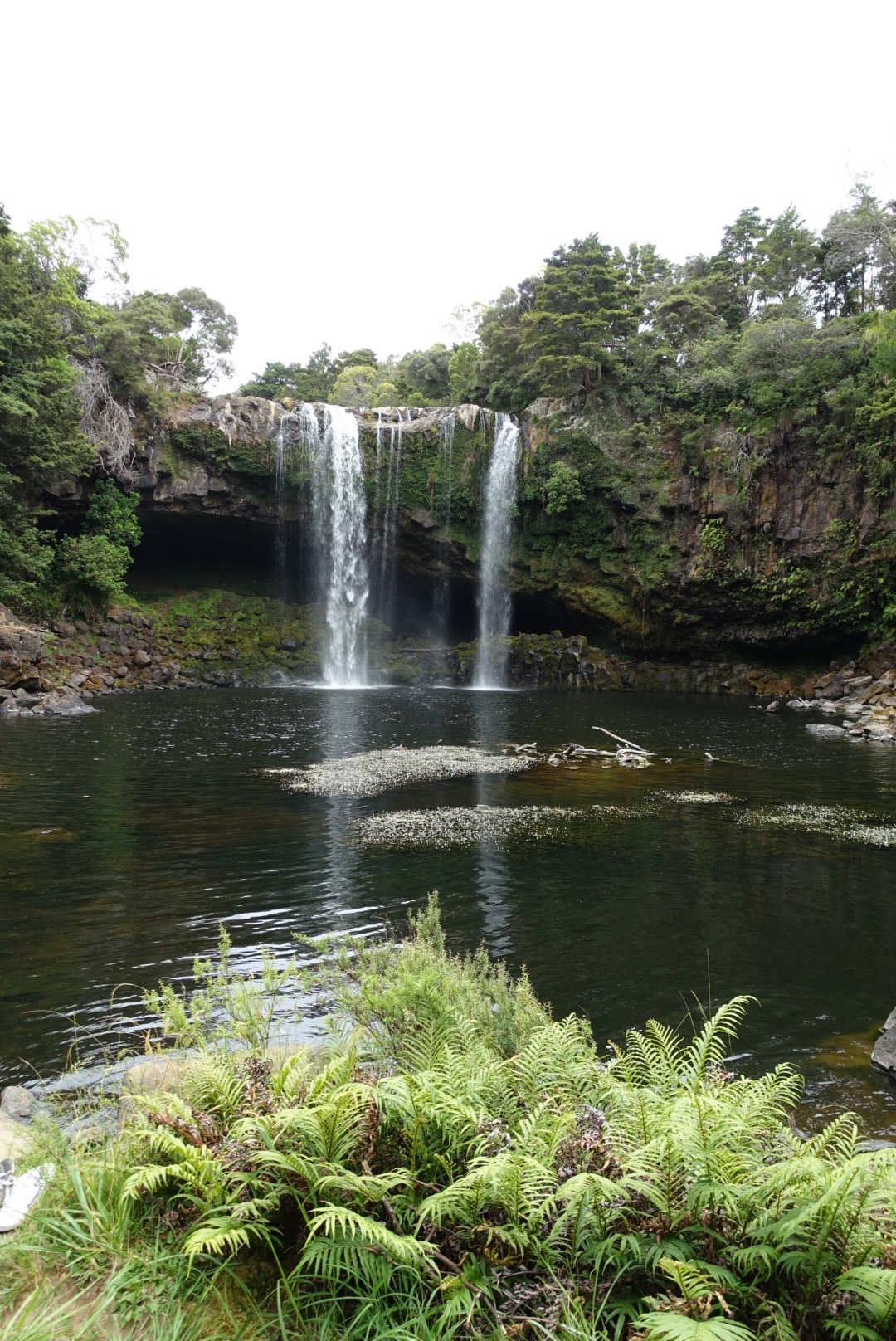 Rainbow Falls Kerikeri New Zealand The Modern Female Hiker rainbow-falls-kerikeri-new-zealand-the-modern-female-hiker