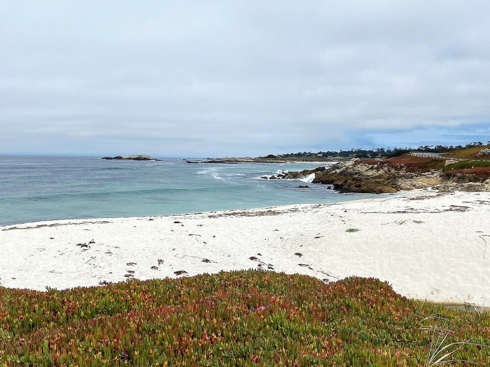 17 Mile Drive