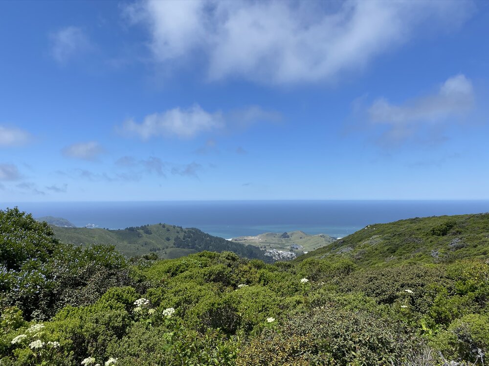 Sweeney Ridge Trail