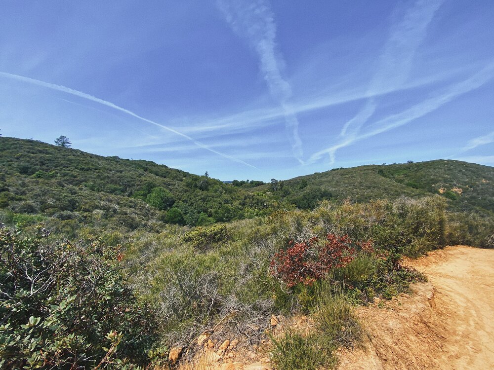 Sweeney Ridge Trail