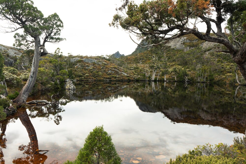 Cradle Mountain - Tasmania 23