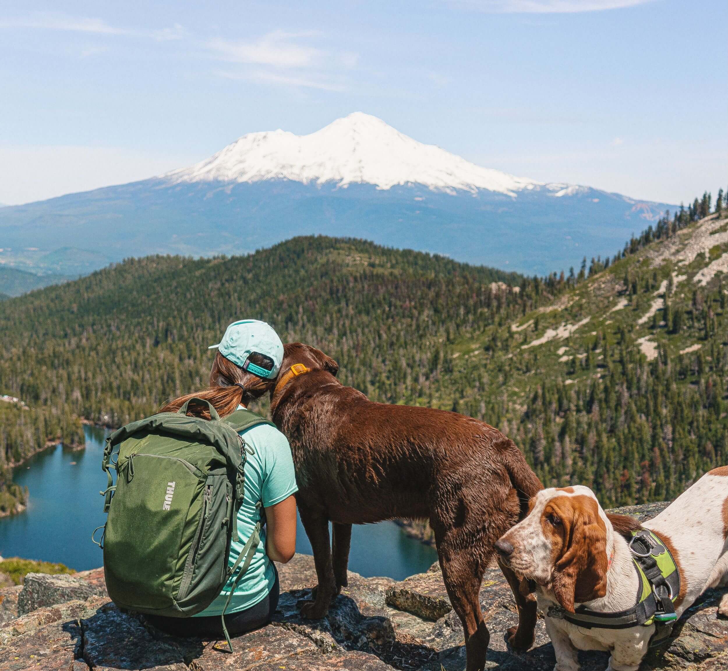 Dog friendly hiking blog