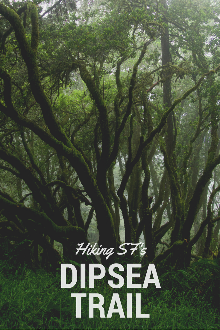 Dipsea Trail in San Francisco