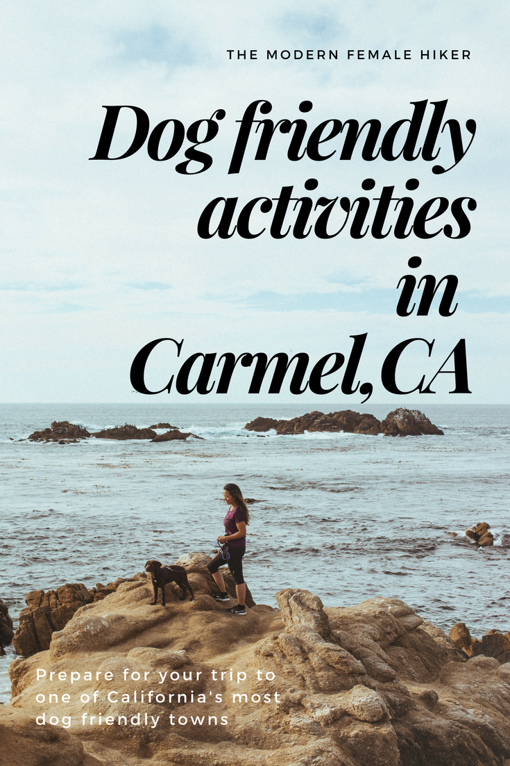 Dog friendly activities in Carmel, CA