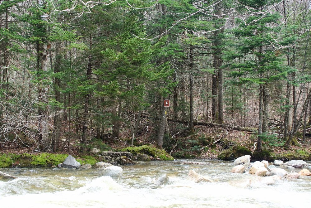 Mount Hale via Fire Warden's Trail 8