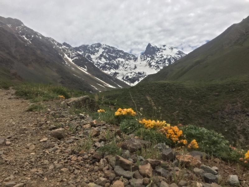 El Morado National Park - Chile 6