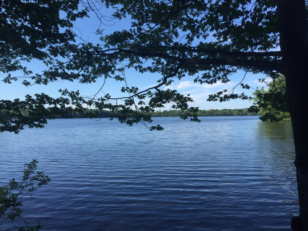 Fresh Pond in Cambridge, MA