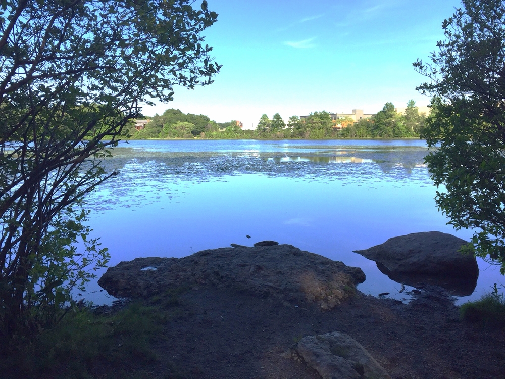 Hammond Pond near the Chestnut Hill Mall in Newton