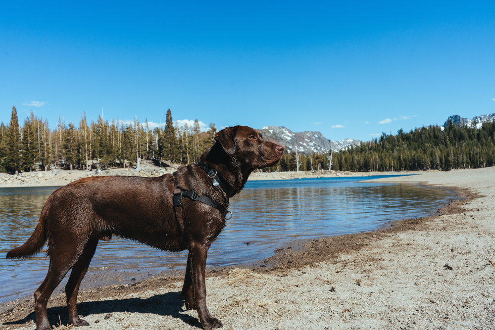 Horseshoe Lake