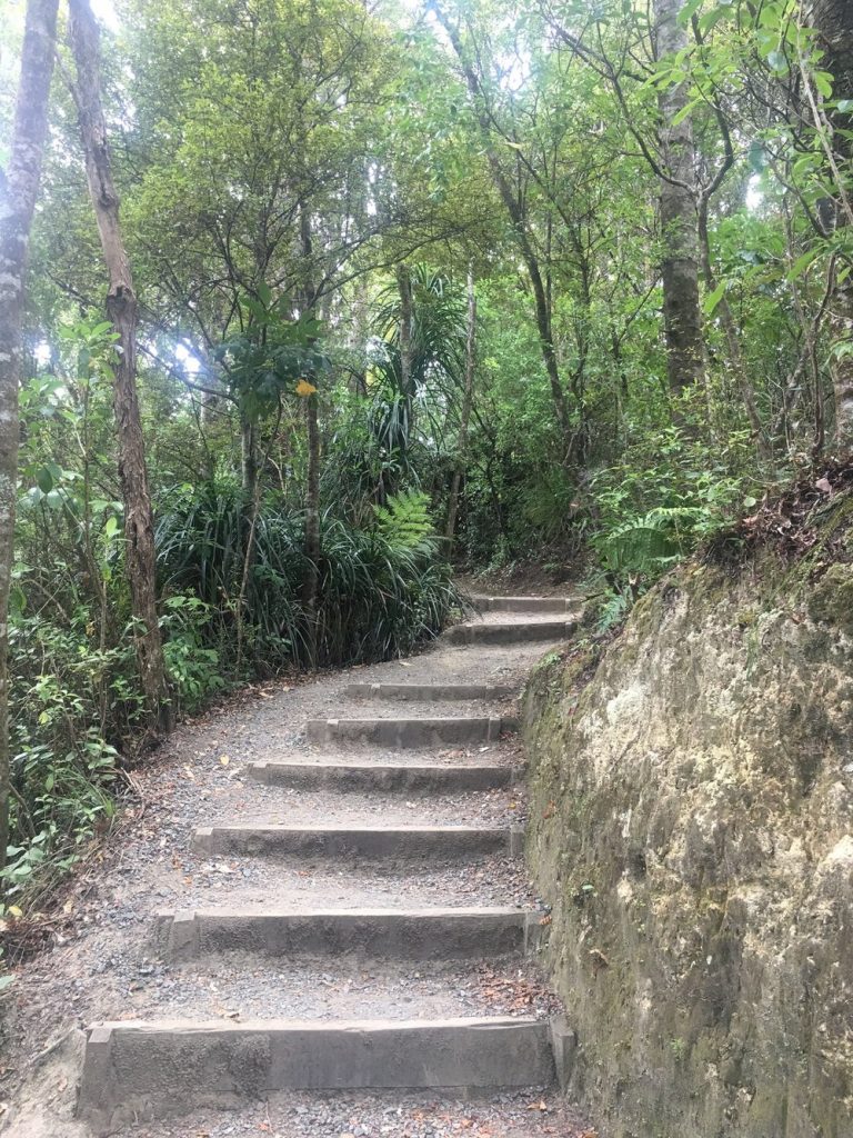 Mount Parihaka - Whangarei, New Zealand 4