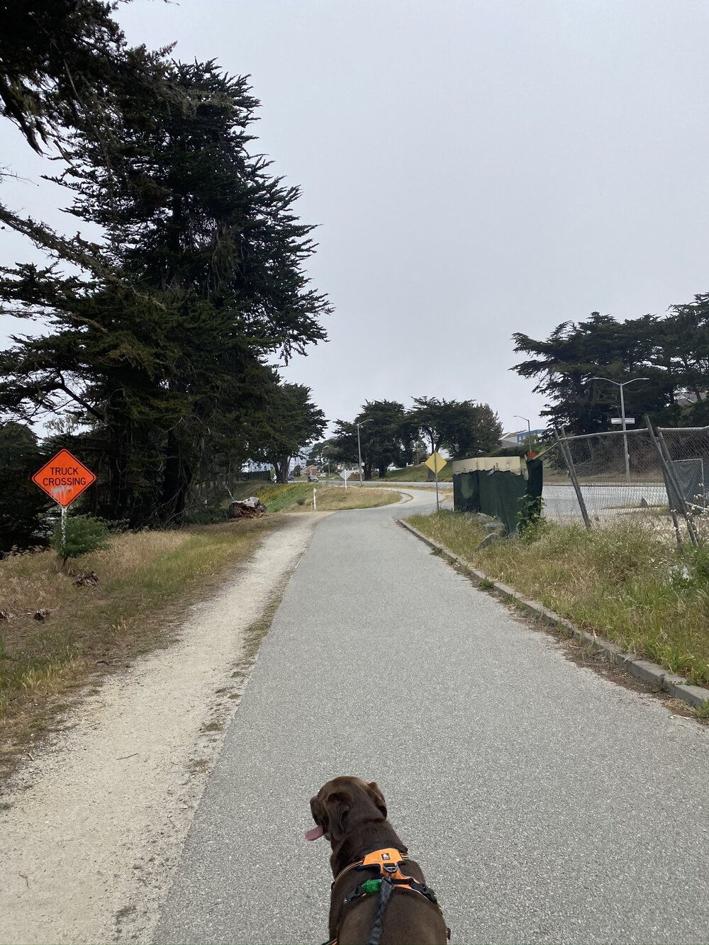 Lake Merced