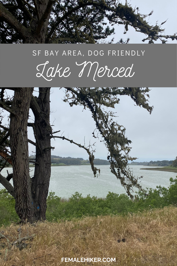 Lake Merced