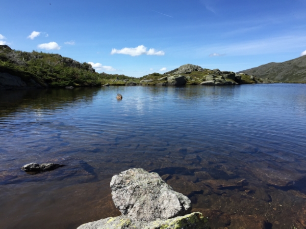 1 Day Presidential Traverse with a Dog 12