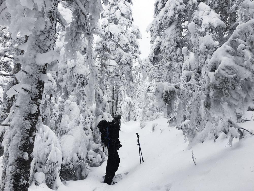 Mount Waumbek in the winter