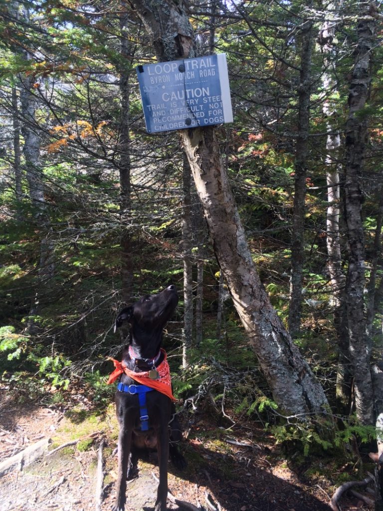 Tumbledown Mountain - Maine 26