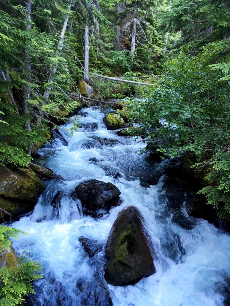 Horseshoe Lake - Enchantments Area, Washington 58