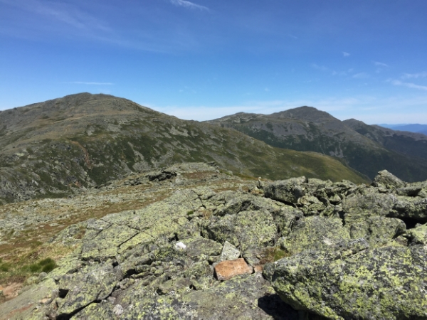 1 Day Presidential Traverse with a Dog 41