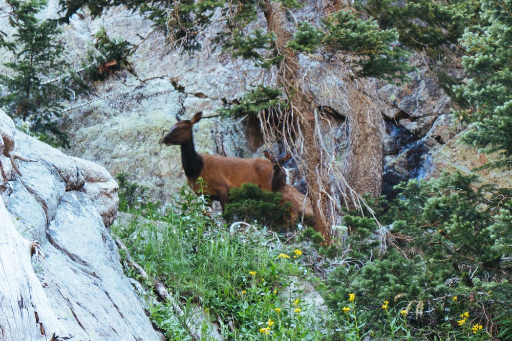 Rocky mountain national park