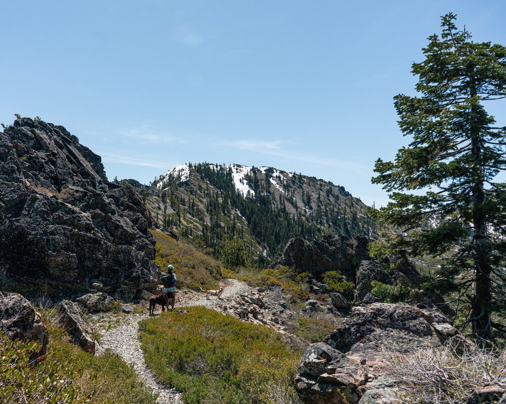 Mt Shasta hiking FemaleHiker