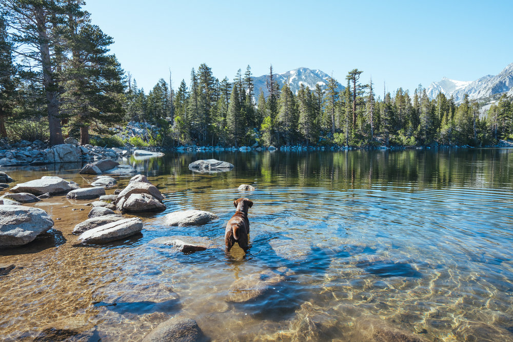 Sherwin Lakes