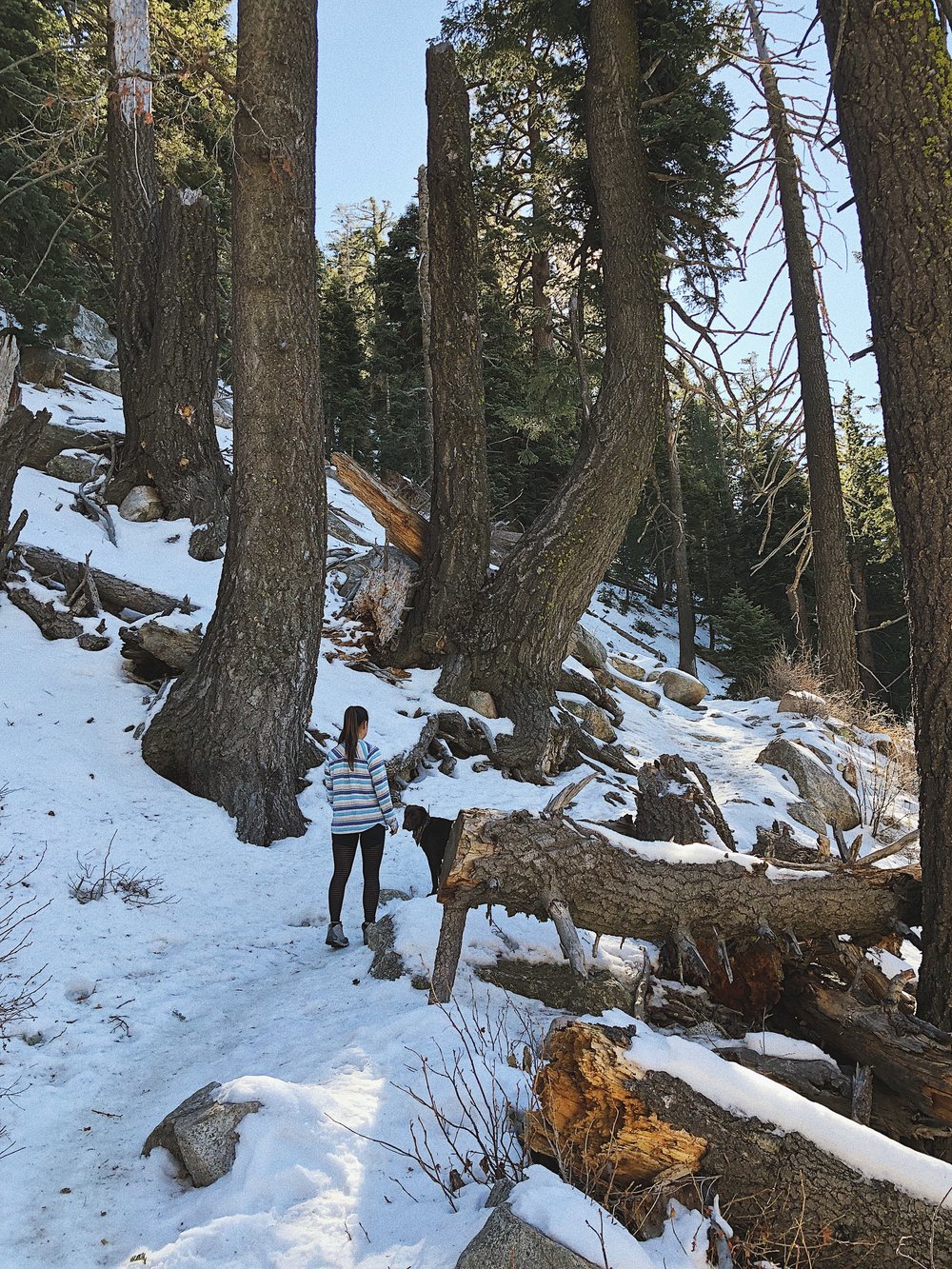 Idyllwild winter