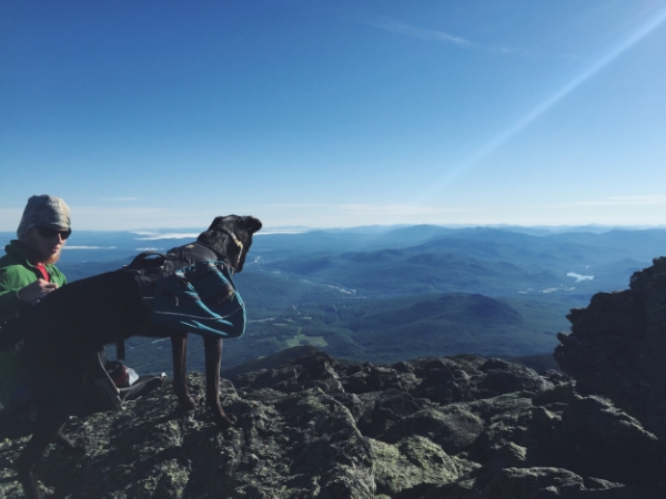 1 Day Presidential Traverse with a Dog 6