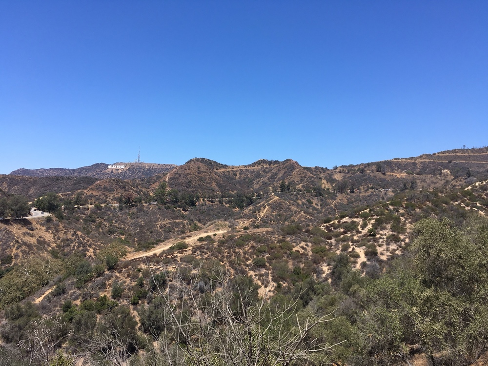 Views of the Hollywood Sign