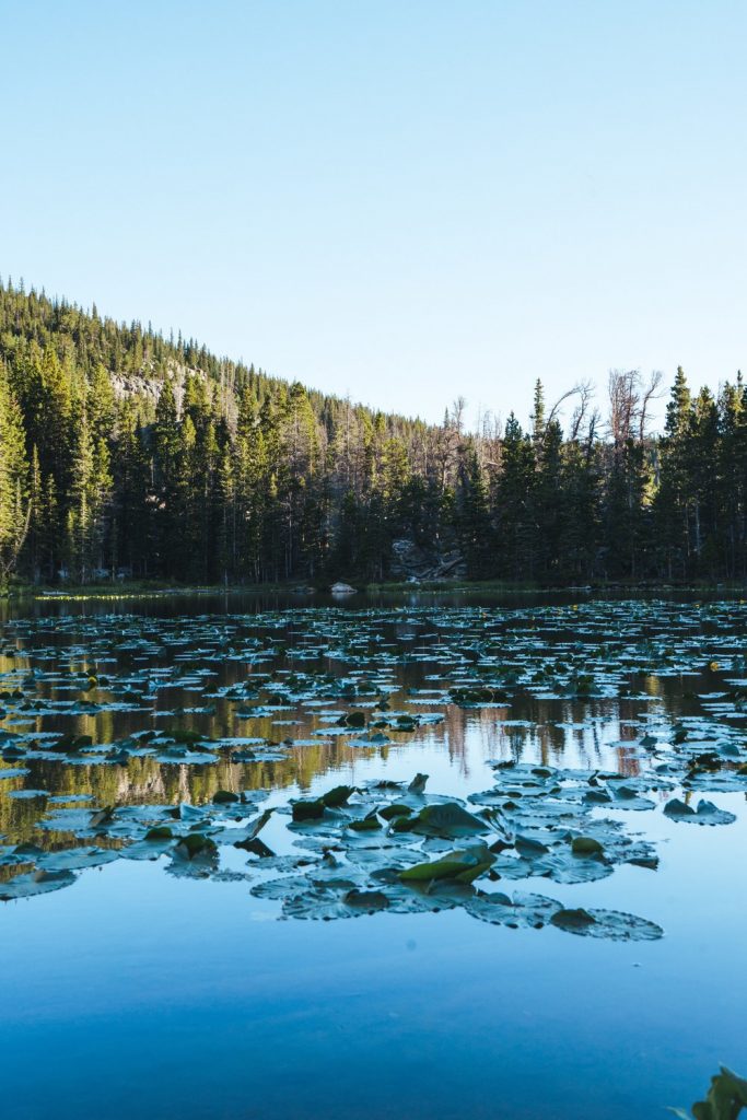 Emerald Lake Trail - Rocky Mountain National Park 5