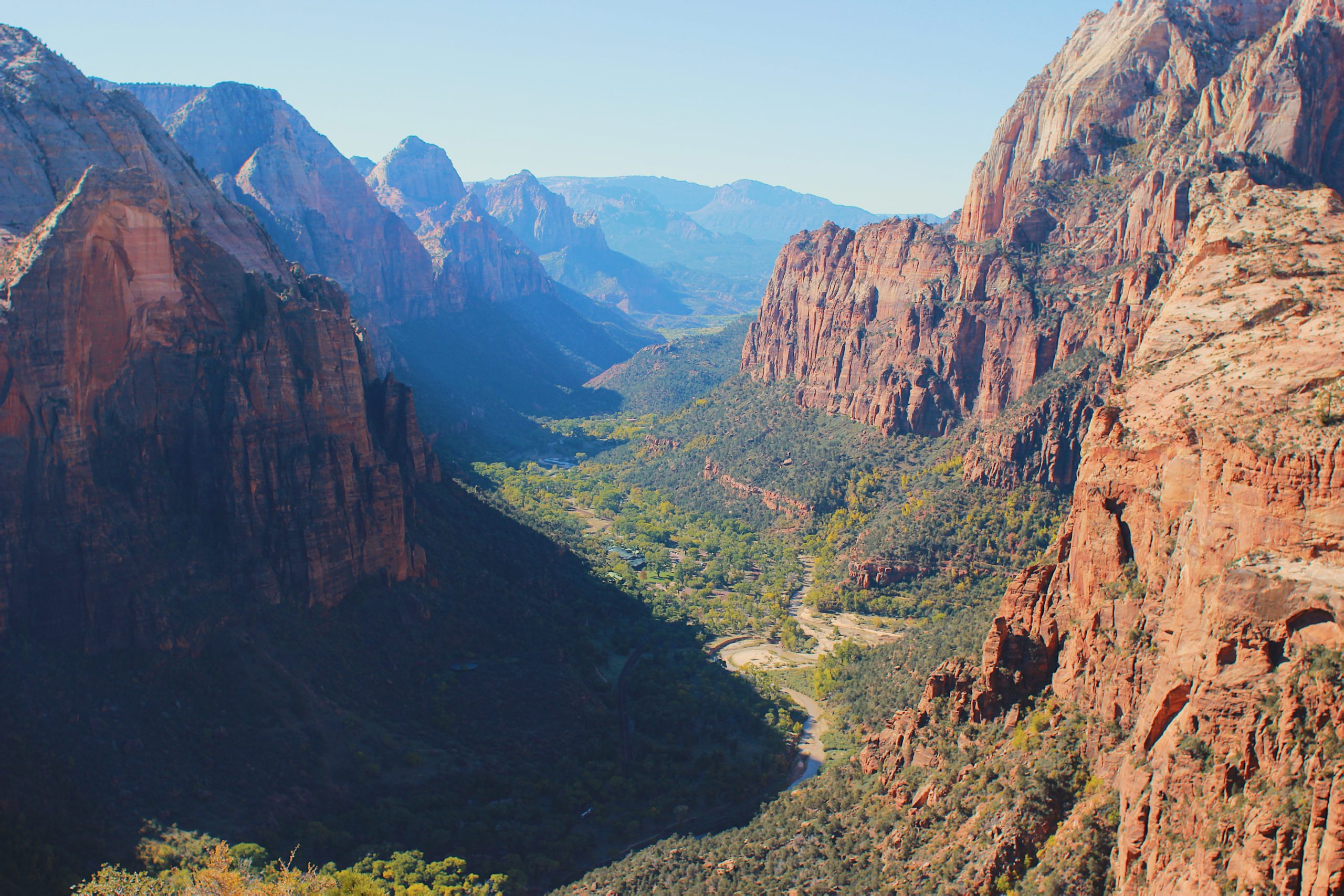 are dogs allowed in angels park zion national park