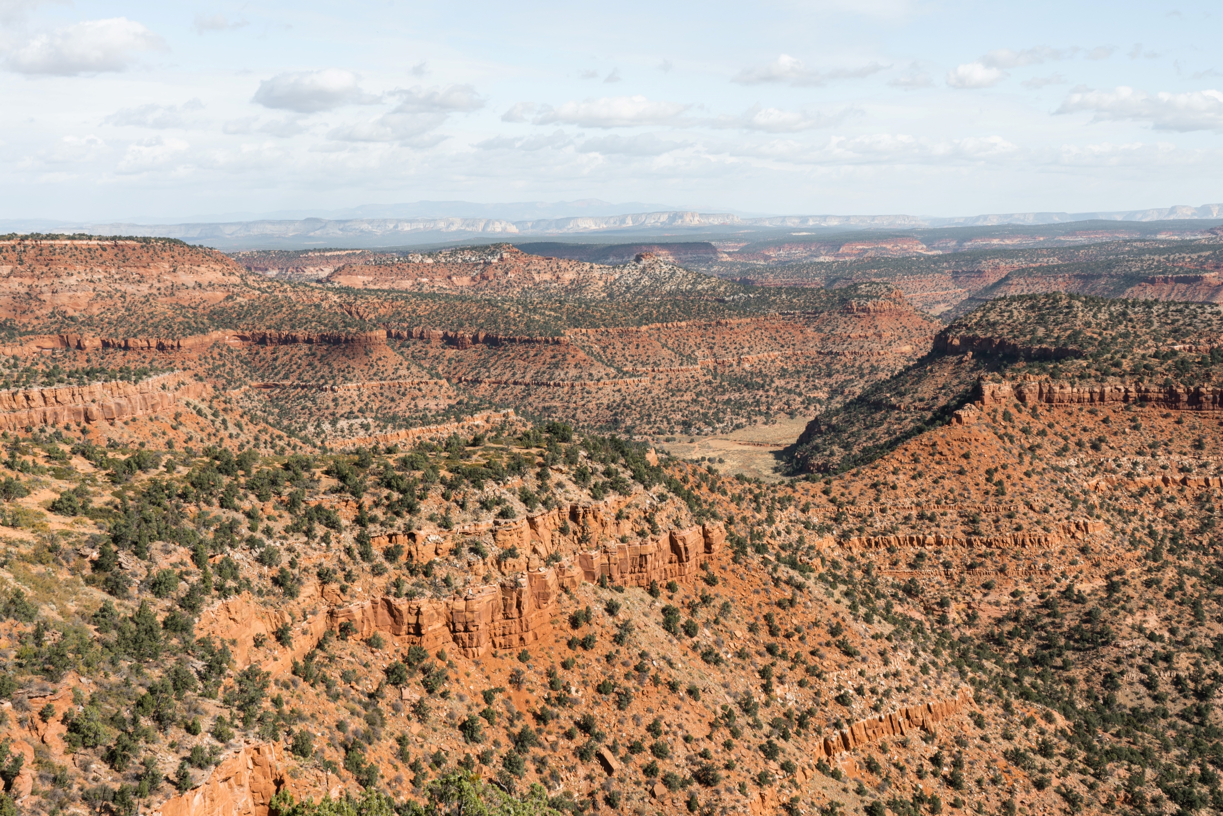 Best Guide to the Bunting Trail (Kanab, Utah) 2