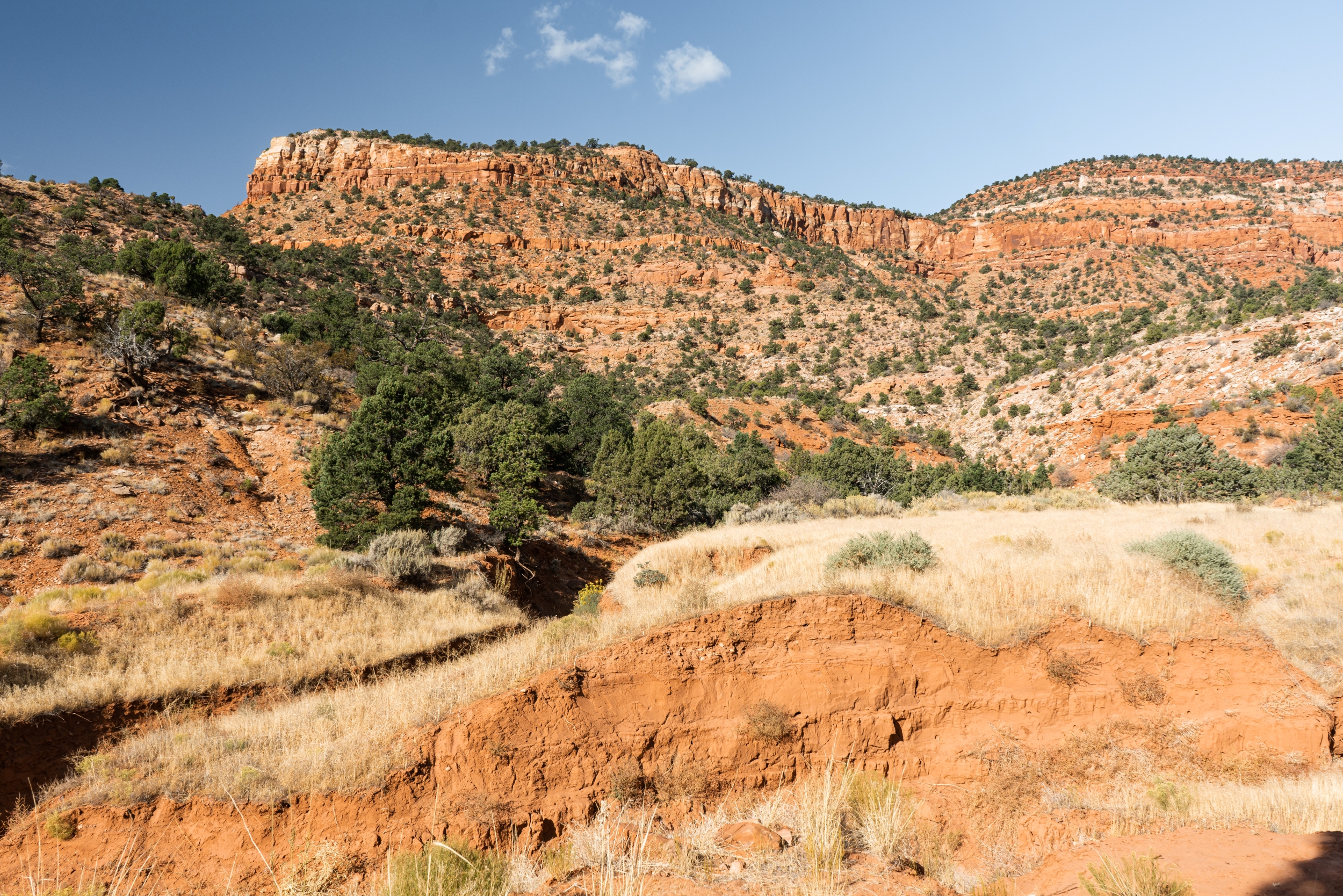 Best Guide to the Bunting Trail (Kanab, Utah) 6