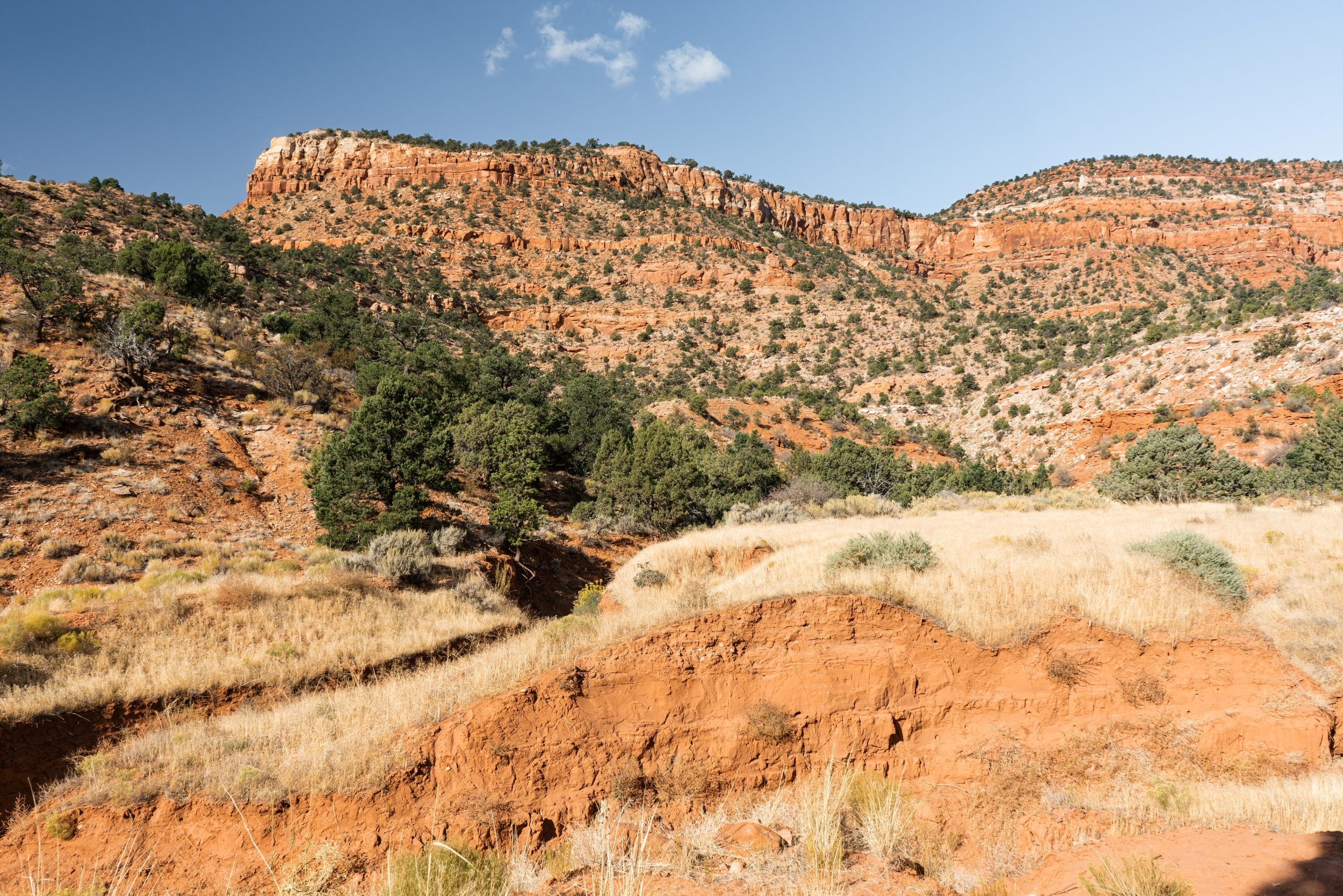 Bunting Trail Kanab Utah