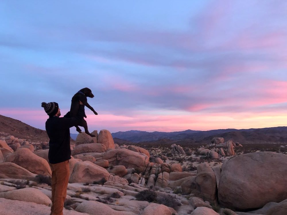 dog friendly hikes in joshua tree