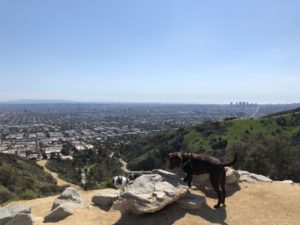 THE DIFFERENCE BETWEEN HIKING AND WALKING