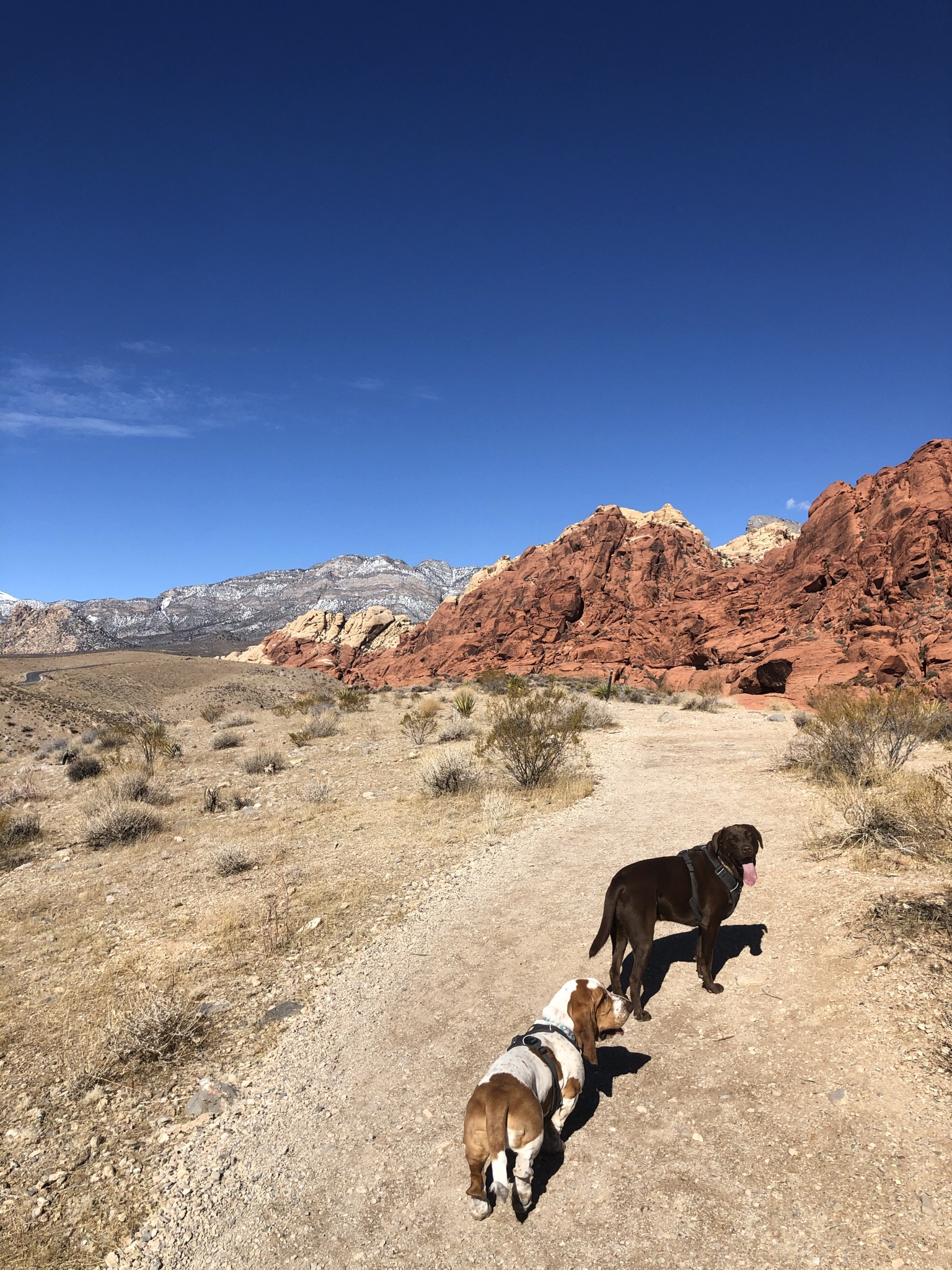 Red Rock is one of the best places to hike in 2021