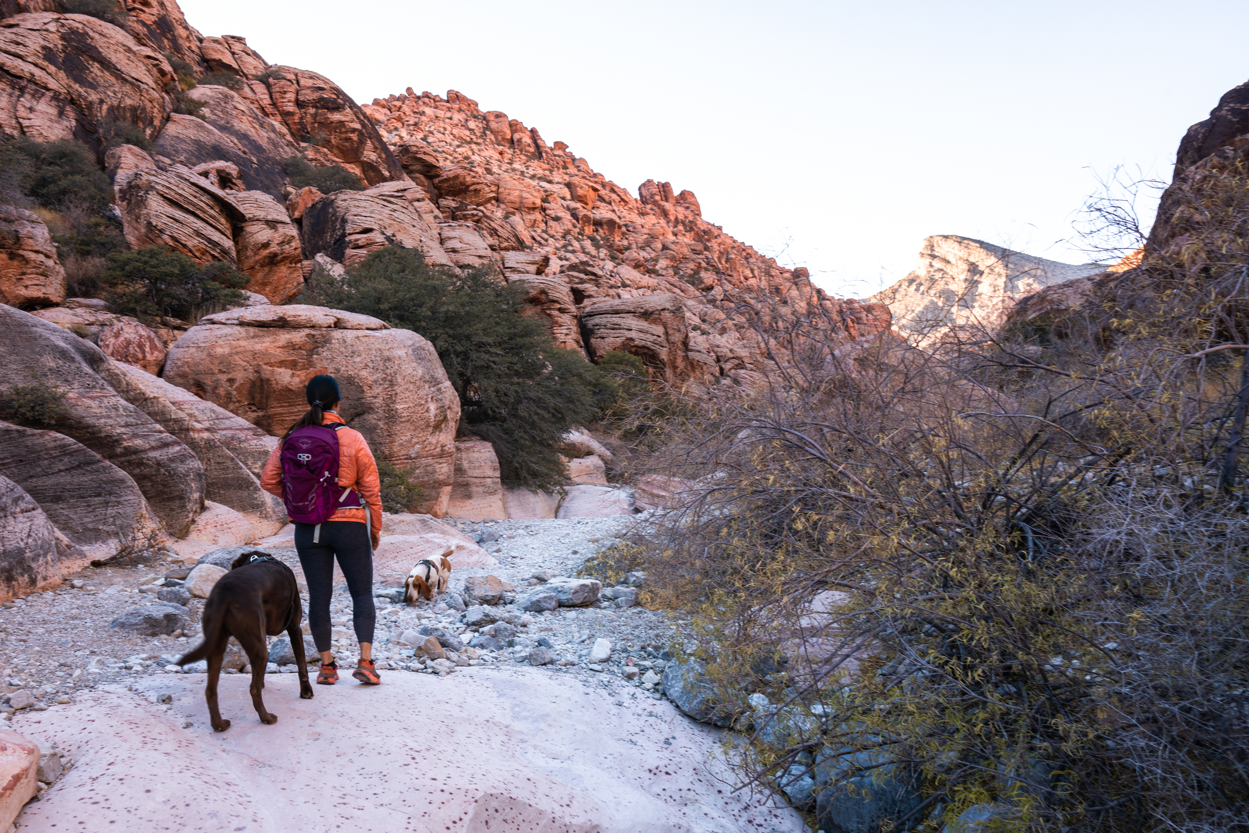 Kraft Mountain Loop