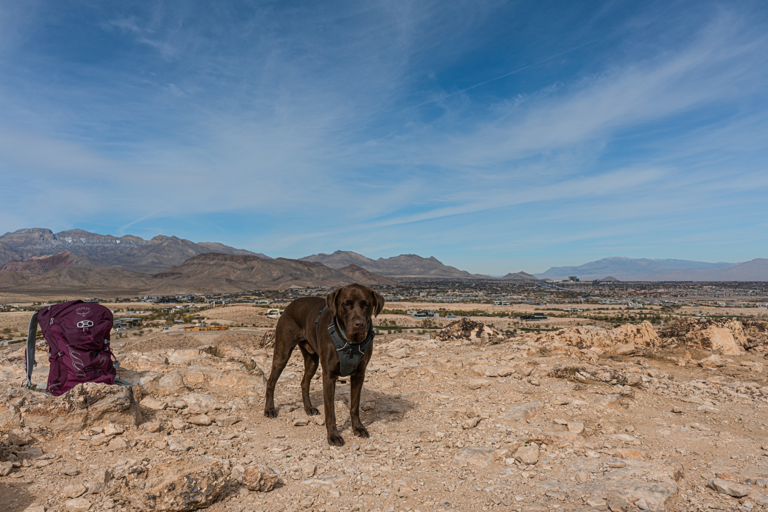 Flagpole Loop Trail in Las Vegas