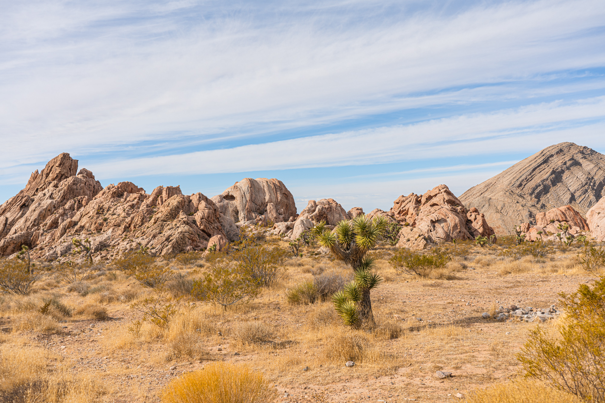 Whitney Pocket in Gold Butte National Monument