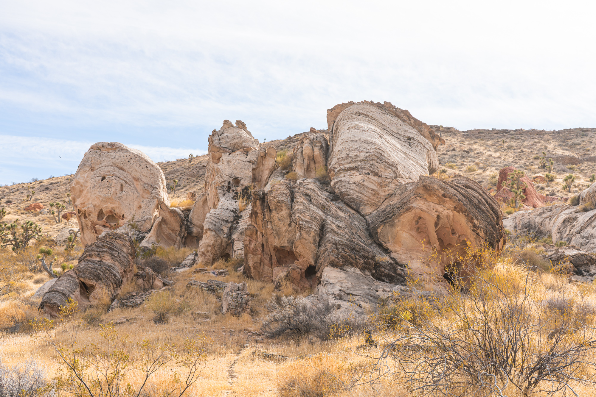 Whitney Pocket in Gold Butte National Monument