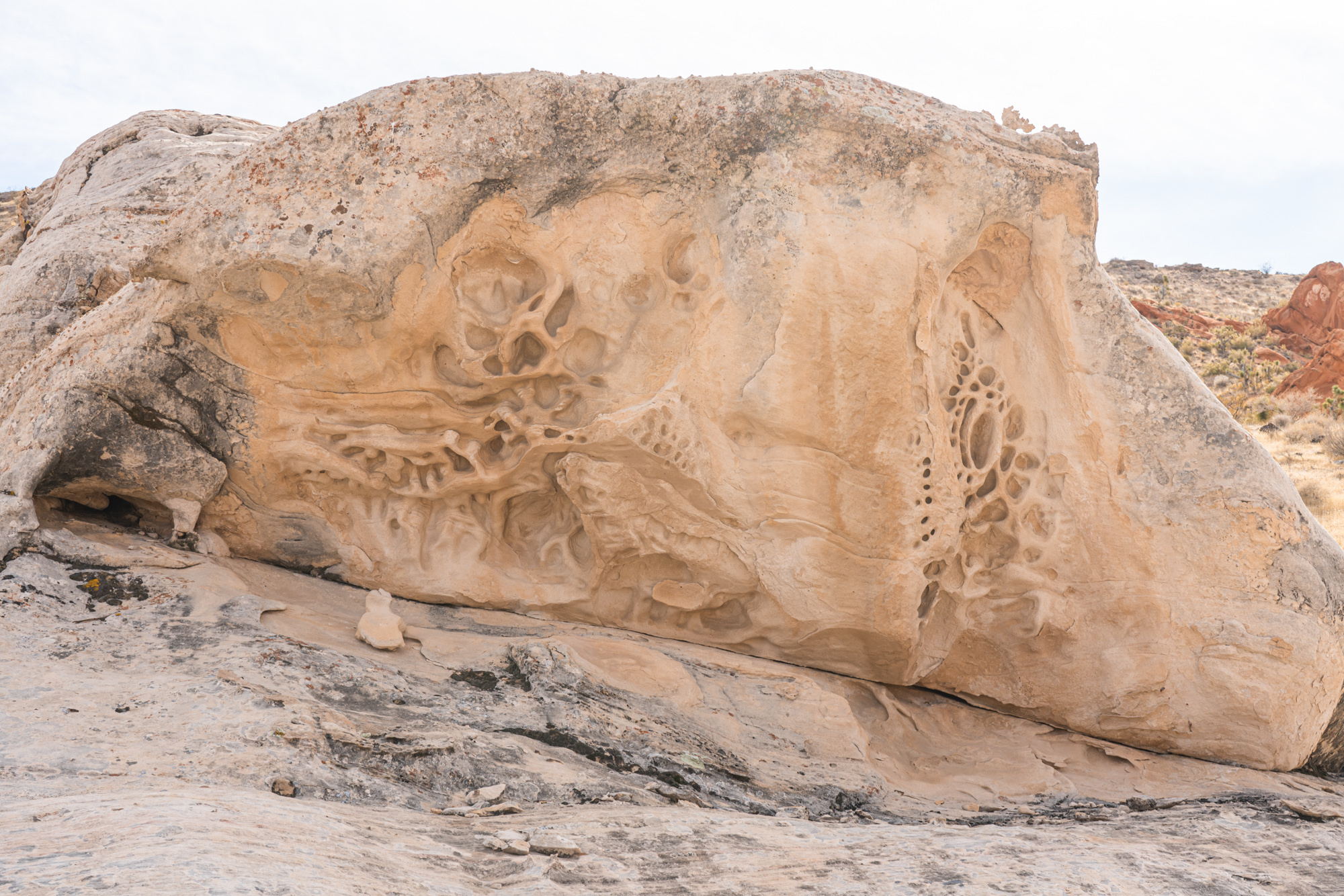 Why You Need to Visit Gold Butte National Monument 7