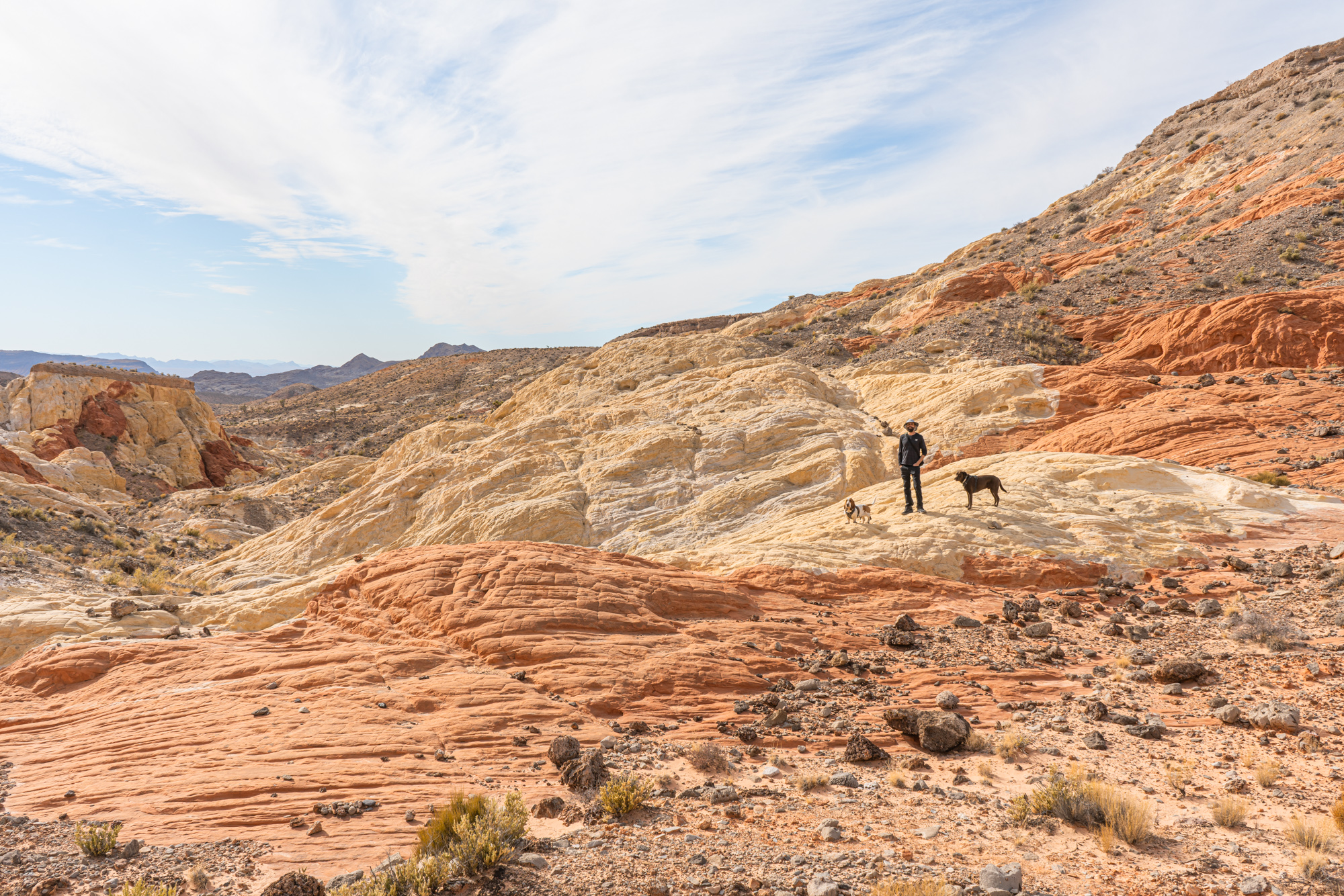 Why You Need to Visit Gold Butte National Monument 9