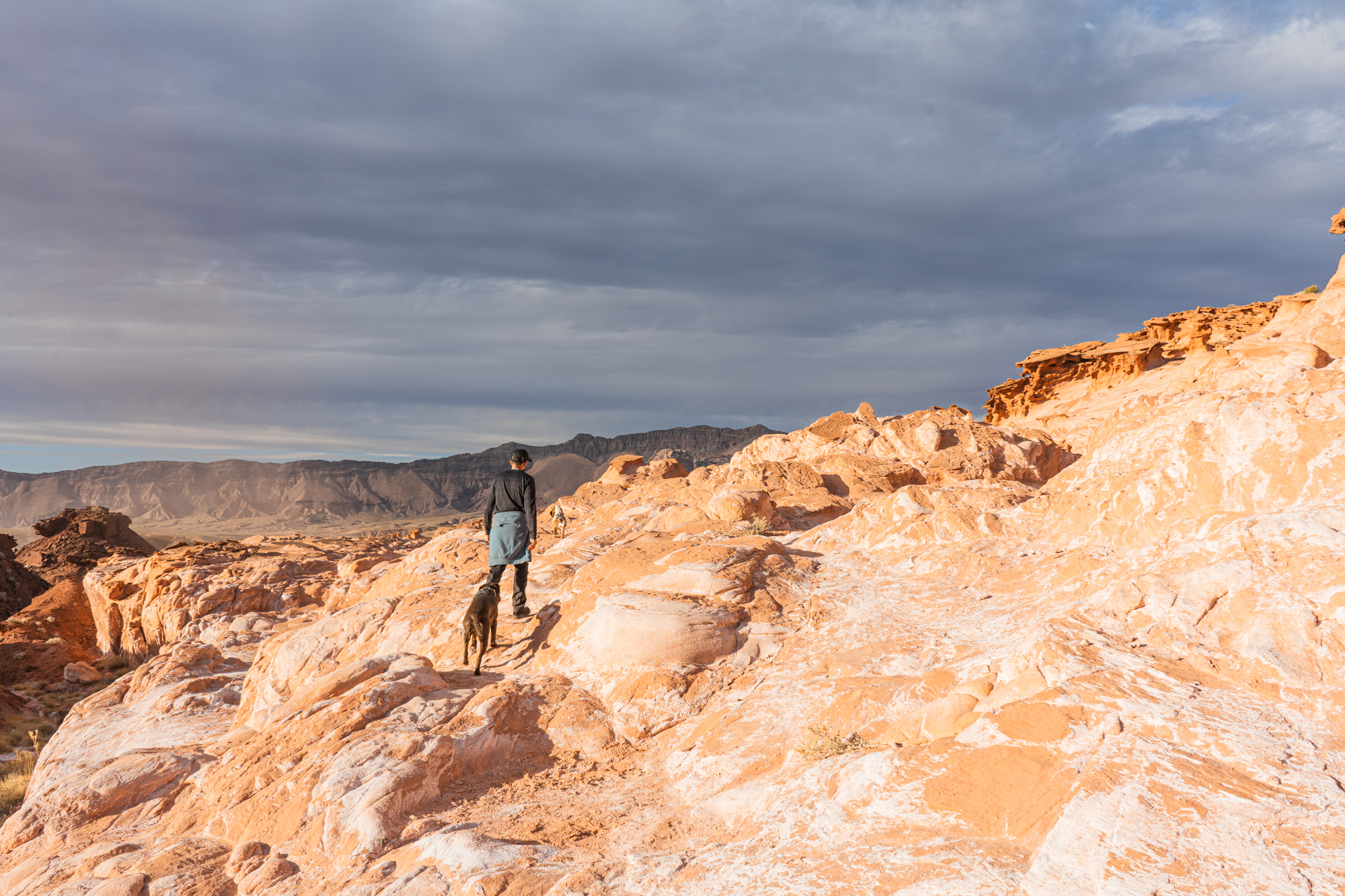 Why You Need to Visit Gold Butte National Monument 43