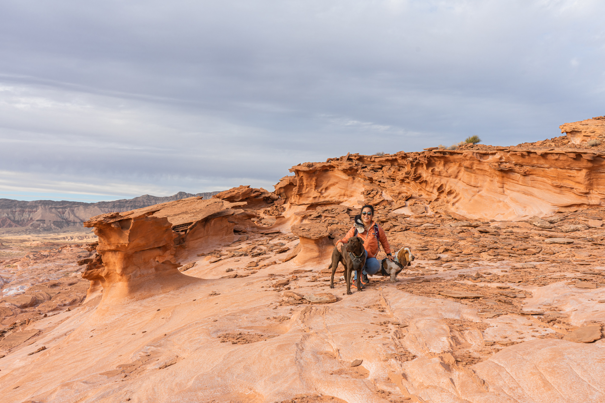 Little Finland in Gold Butte National Monument