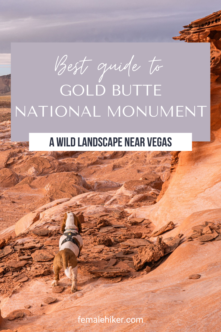 Gold Butte National Monument travel guide 