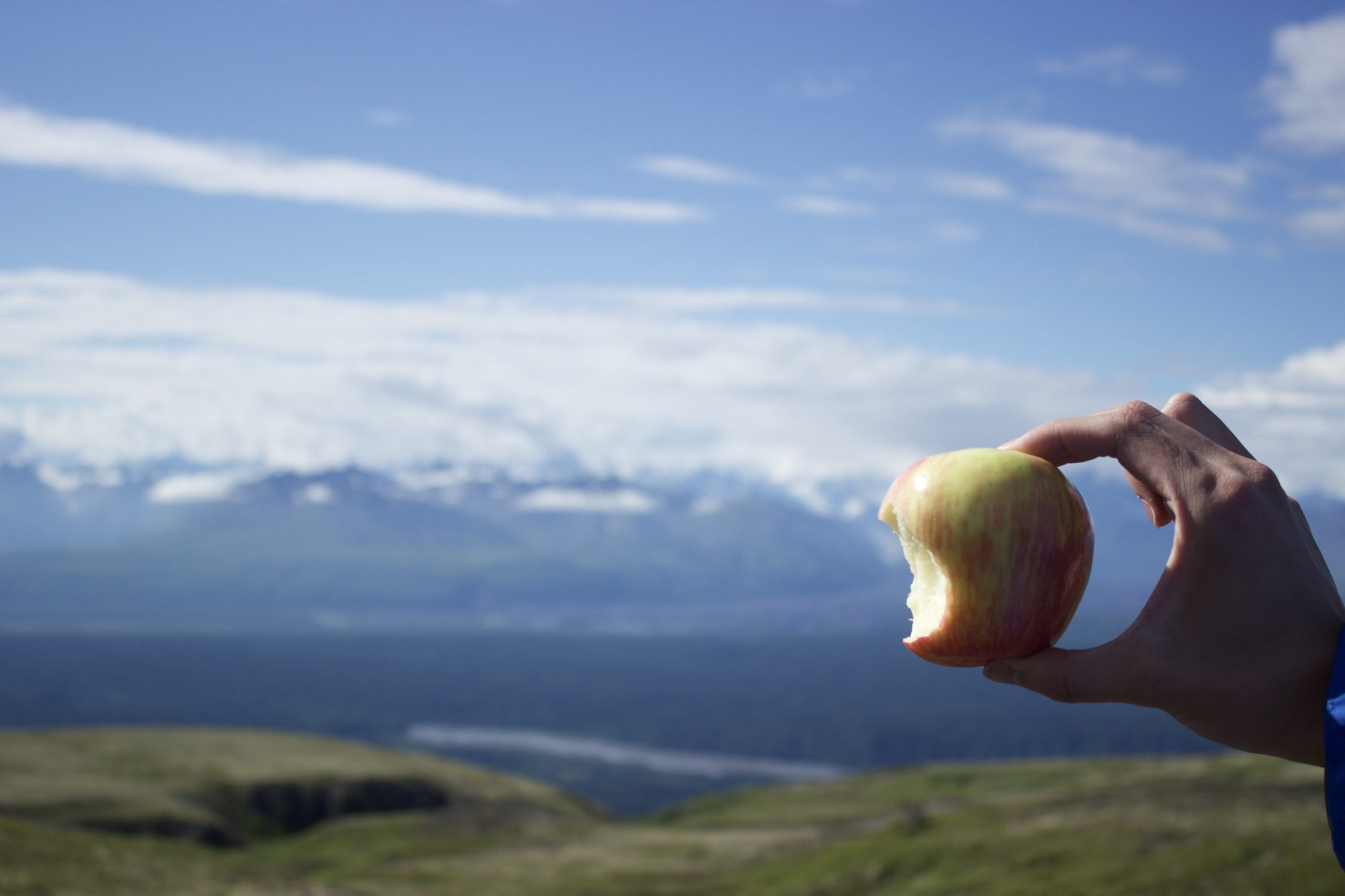 3 Types of Sandwiches for Hiking 31