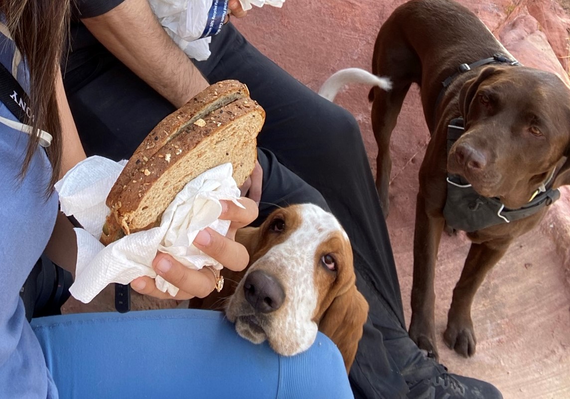 types of sandwiches for hiking 