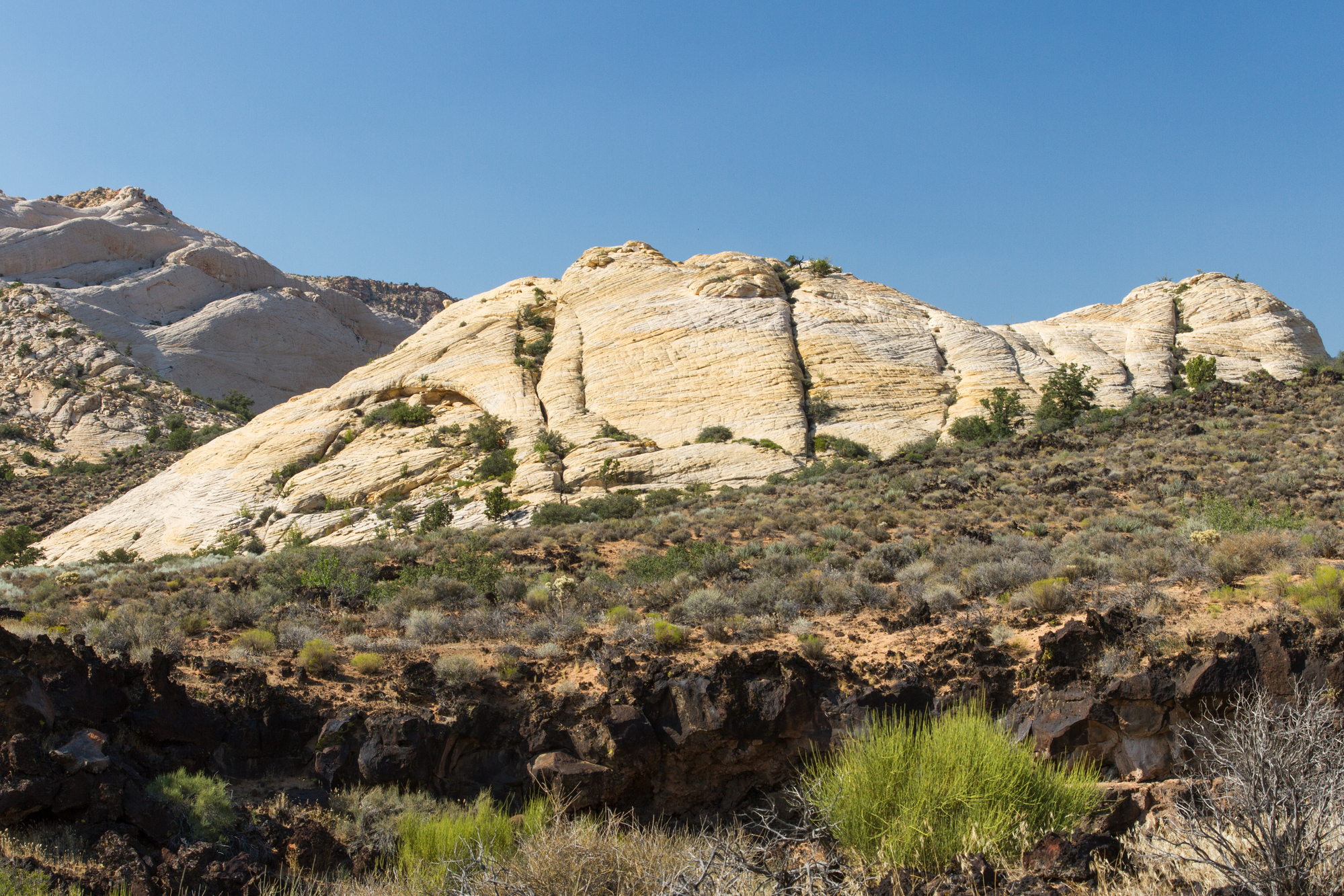 Yellow Knolls Trail FemaleHiker