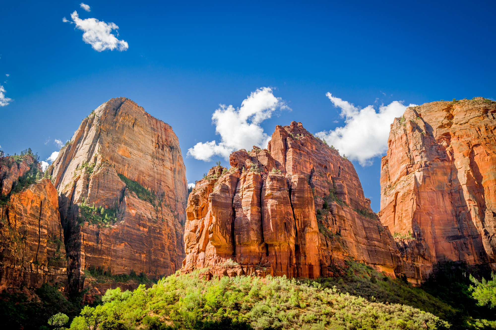 Cedar city hikes