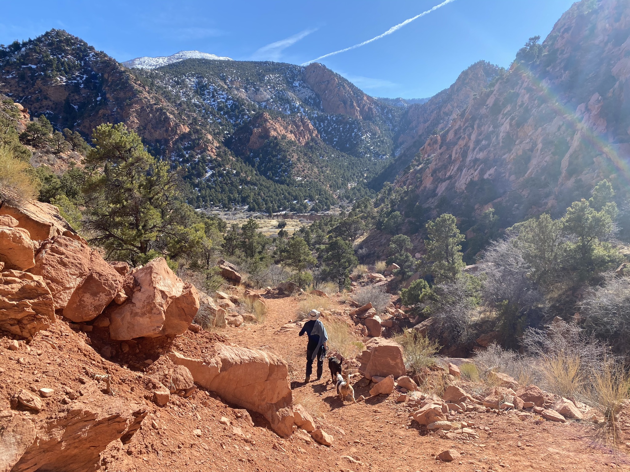 Red Hollow is one of the best Cedar City hikes. FemaleHiker